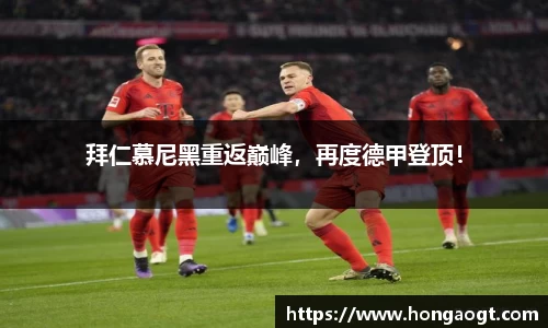 金年会 金字招牌诚信至上