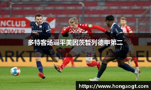 金年会