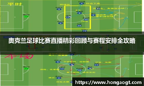 金年会
