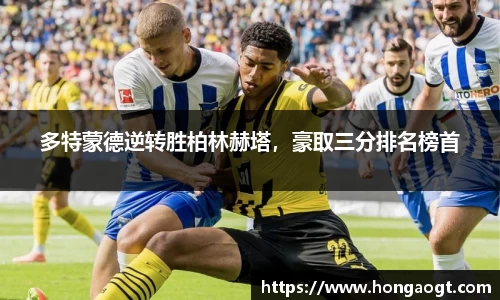 金年会 金字招牌诚信至上